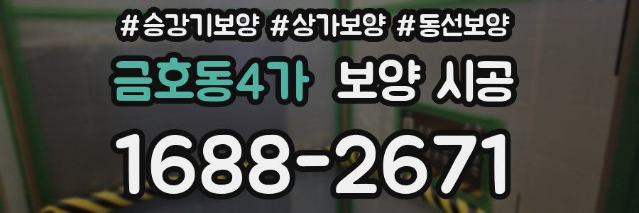 금호동4가 보양 시공