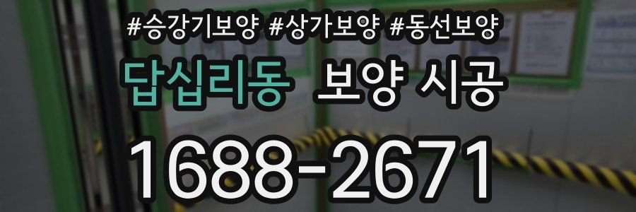 답십리동 보양 시공