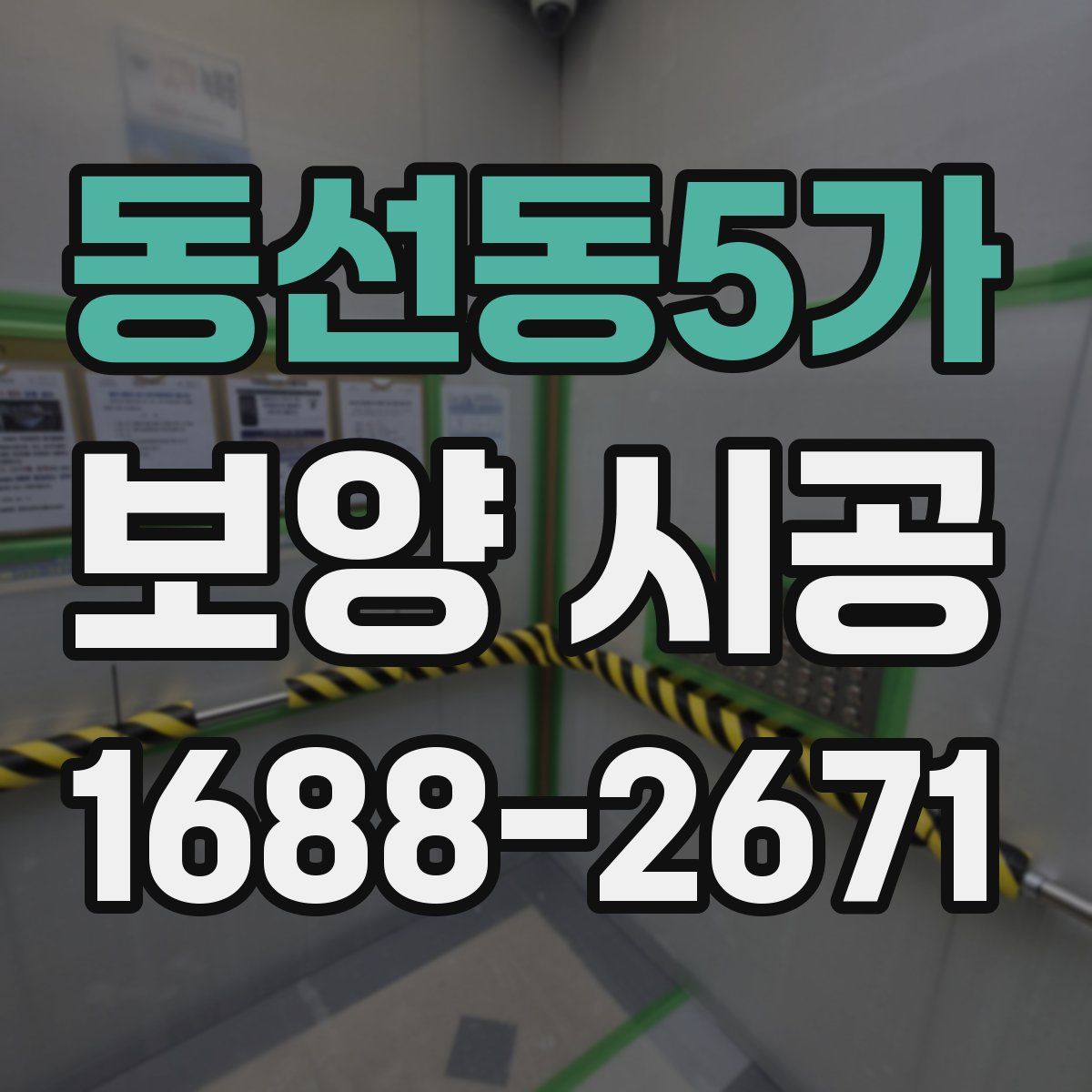 동선동5가 보양 시공