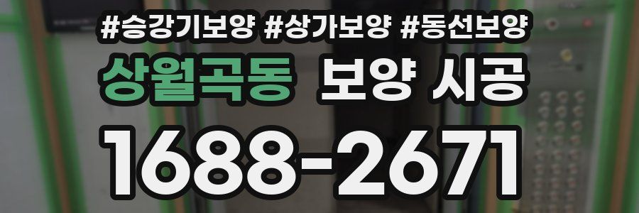 상월곡동 보양 시공