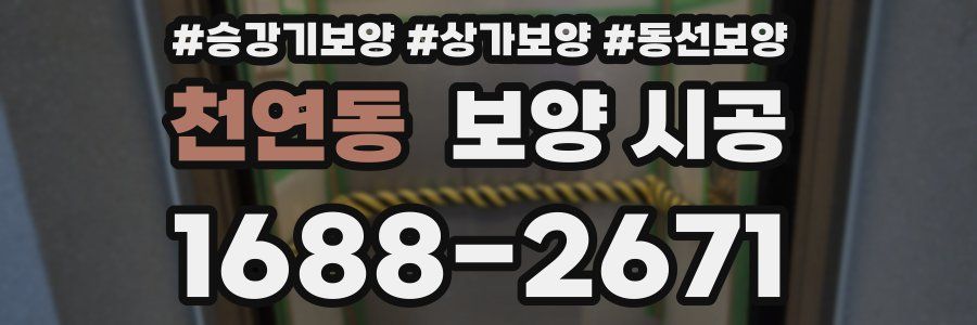 천연동 보양 시공