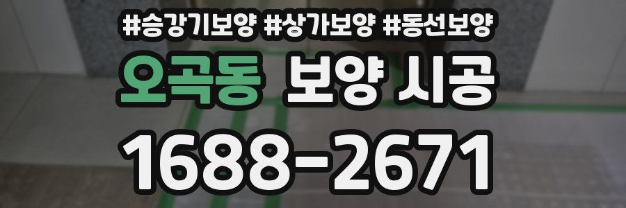 오곡동 보양 시공
