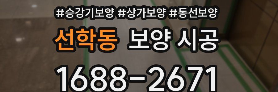 선학동 보양 시공