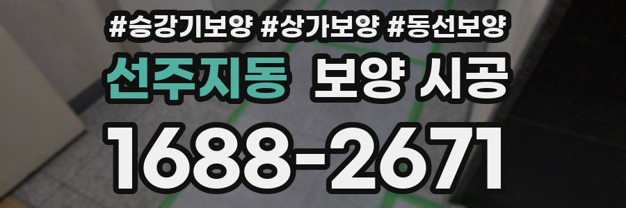 선주지동 보양 시공