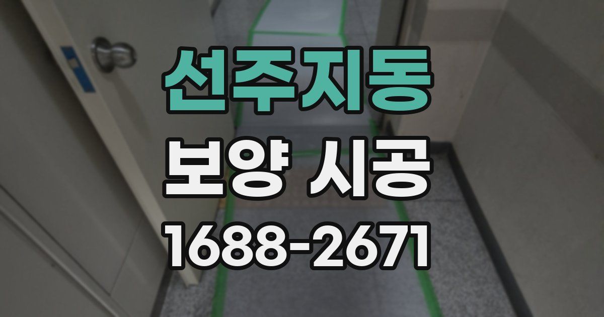 선주지동 보양 시공