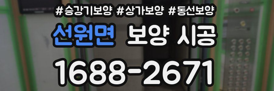 선원면 보양 시공