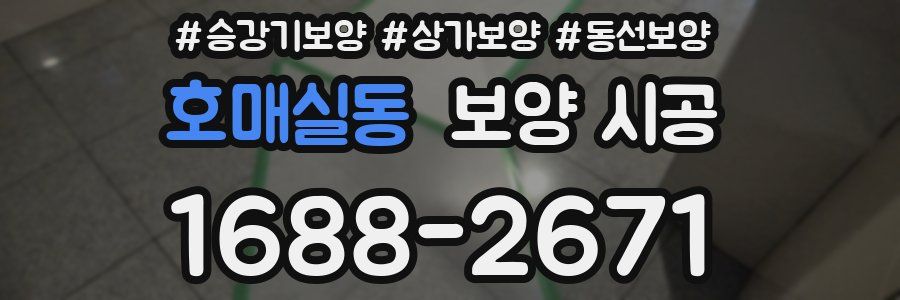 호매실동 보양 시공