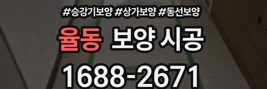 율동 보양 시공
