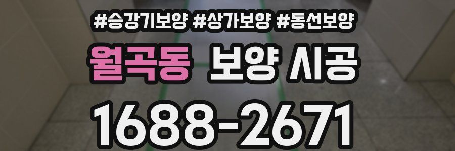월곡동 보양 시공