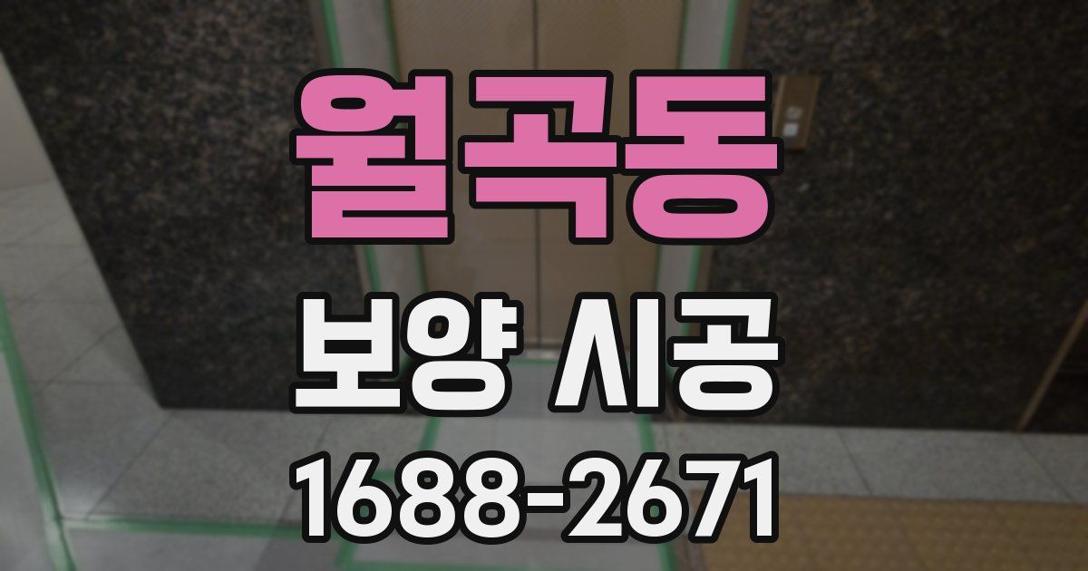월곡동 보양 시공
