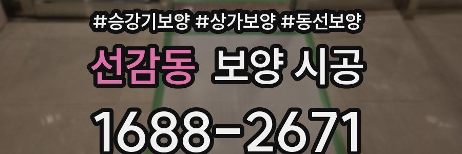 선감동 보양 시공