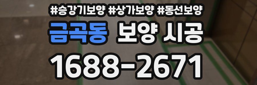 금곡동 보양 시공
