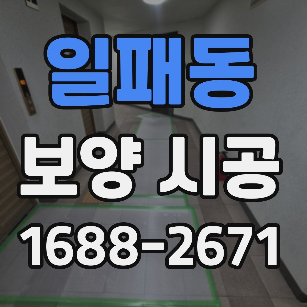 일패동 보양 시공 품질 확인을 위한 현장 점검