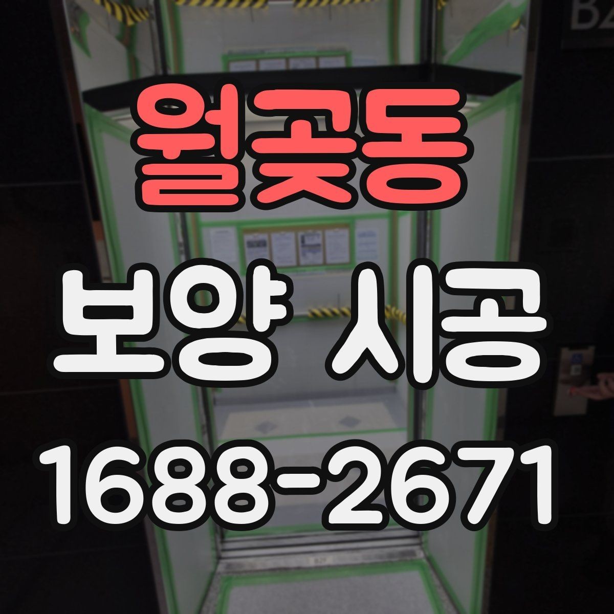 월곶동 보양 시공 순서를 이해하면 좋은 이유