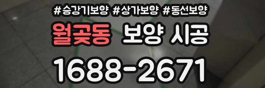 월곶동 보양 시공