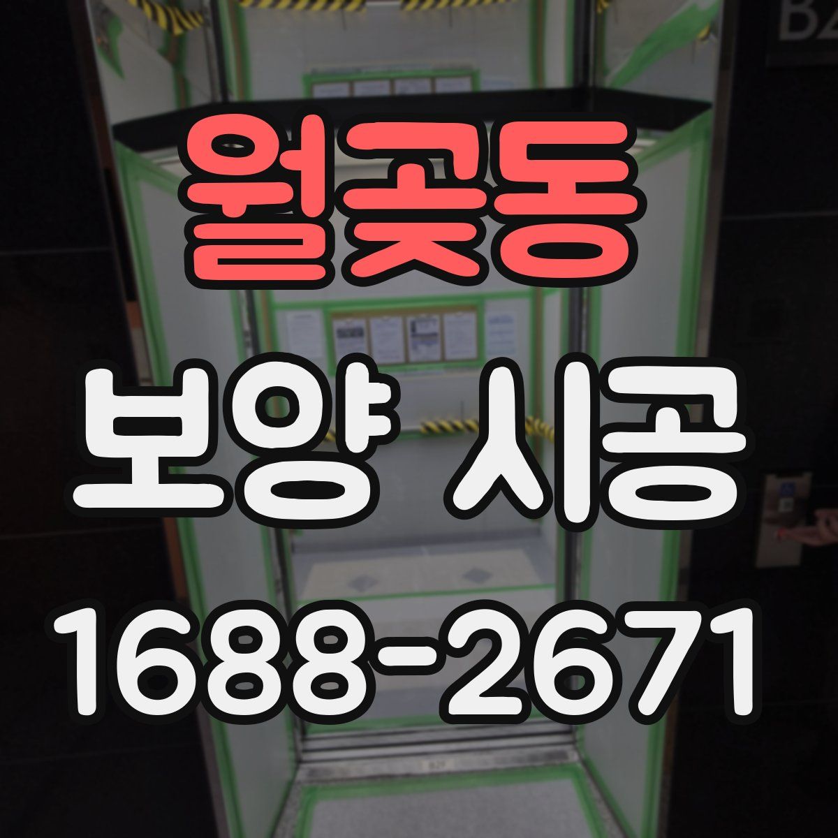 월곶동 보양 시공