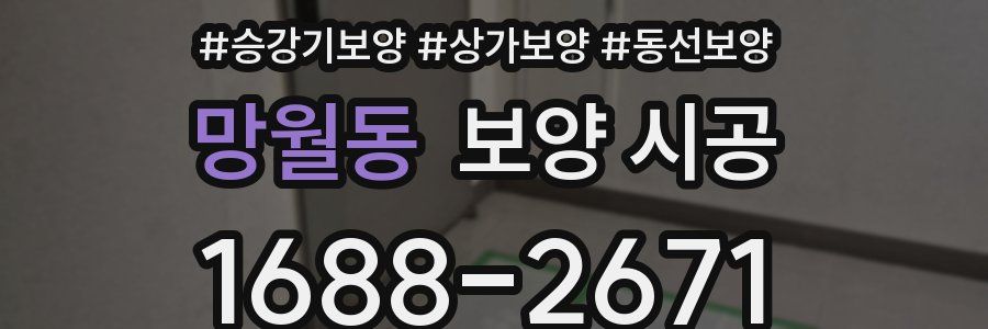 망월동 보양 시공