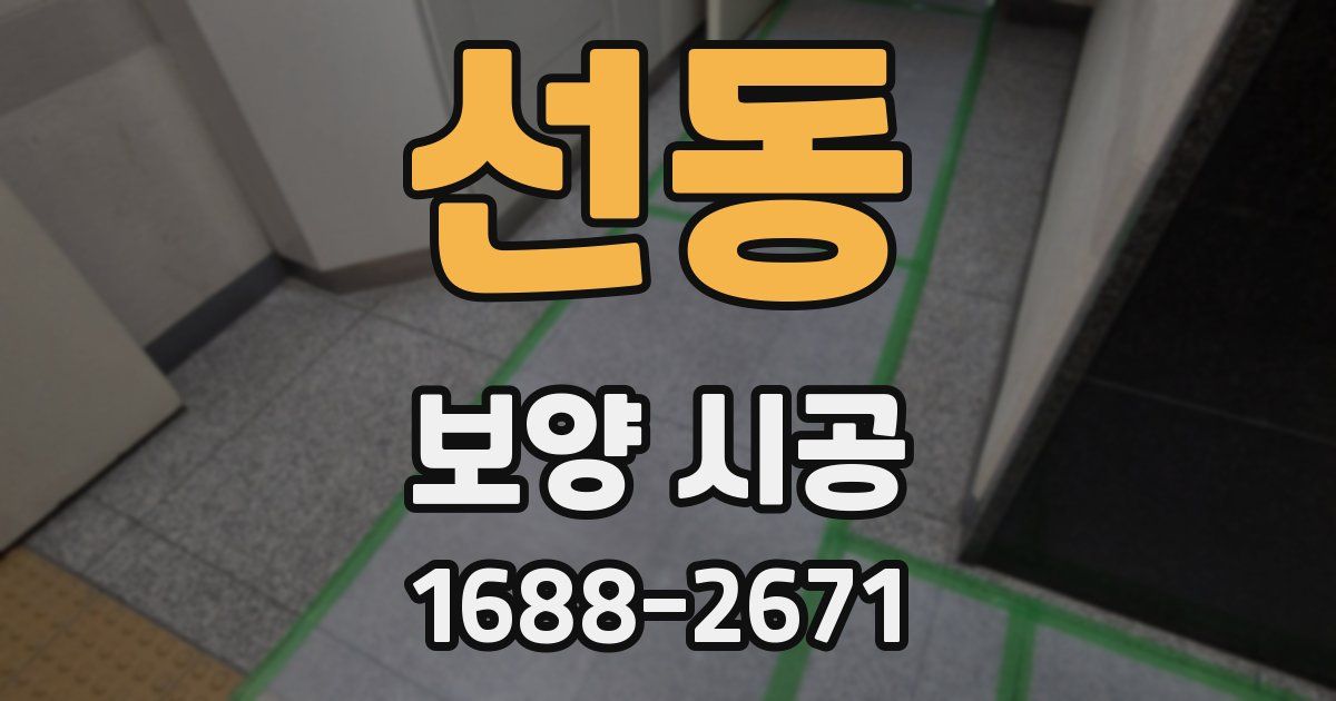선동 보양 시공