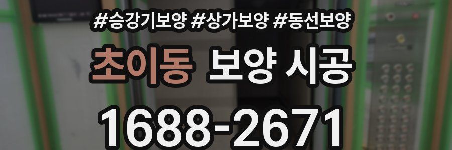 초이동 보양 시공