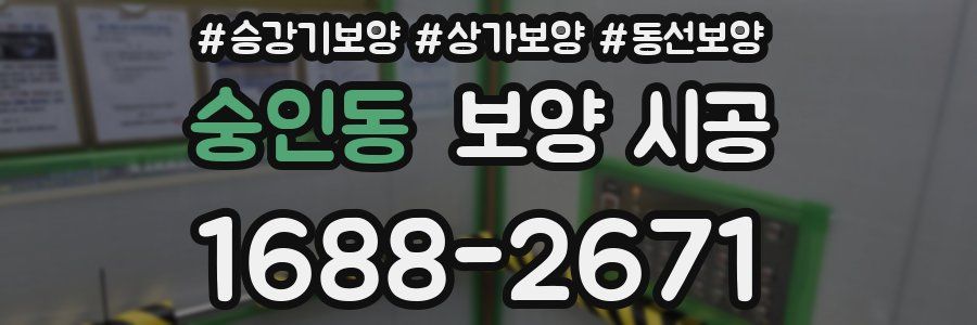 숭인동 보양 시공