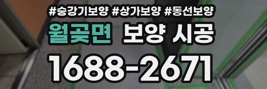 월곶면 보양 시공
