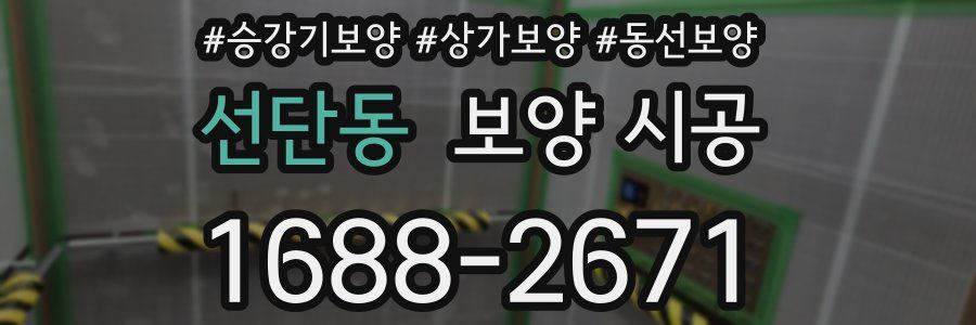 선단동 보양 시공