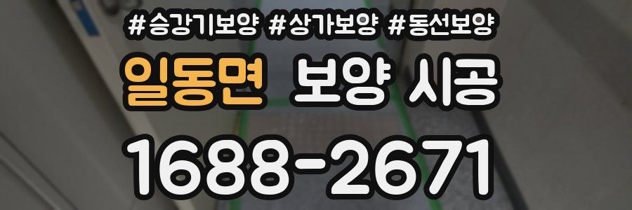 일동면 보양 시공