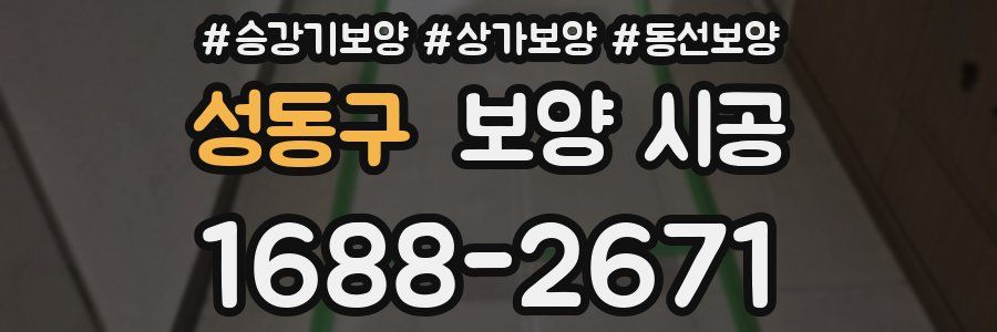 성동구 보양 시공