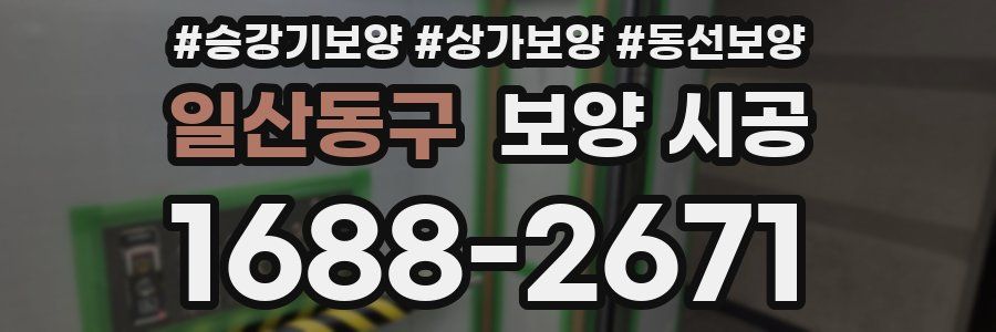 일산동구 보양 시공