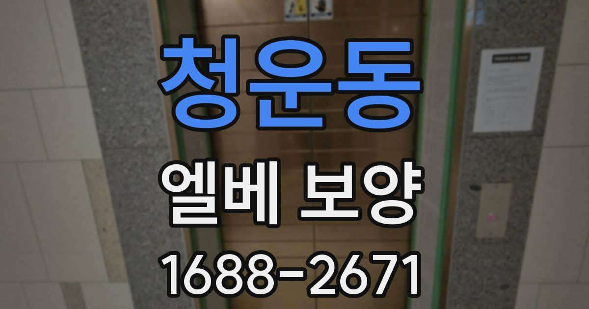 청운동 엘베 보양