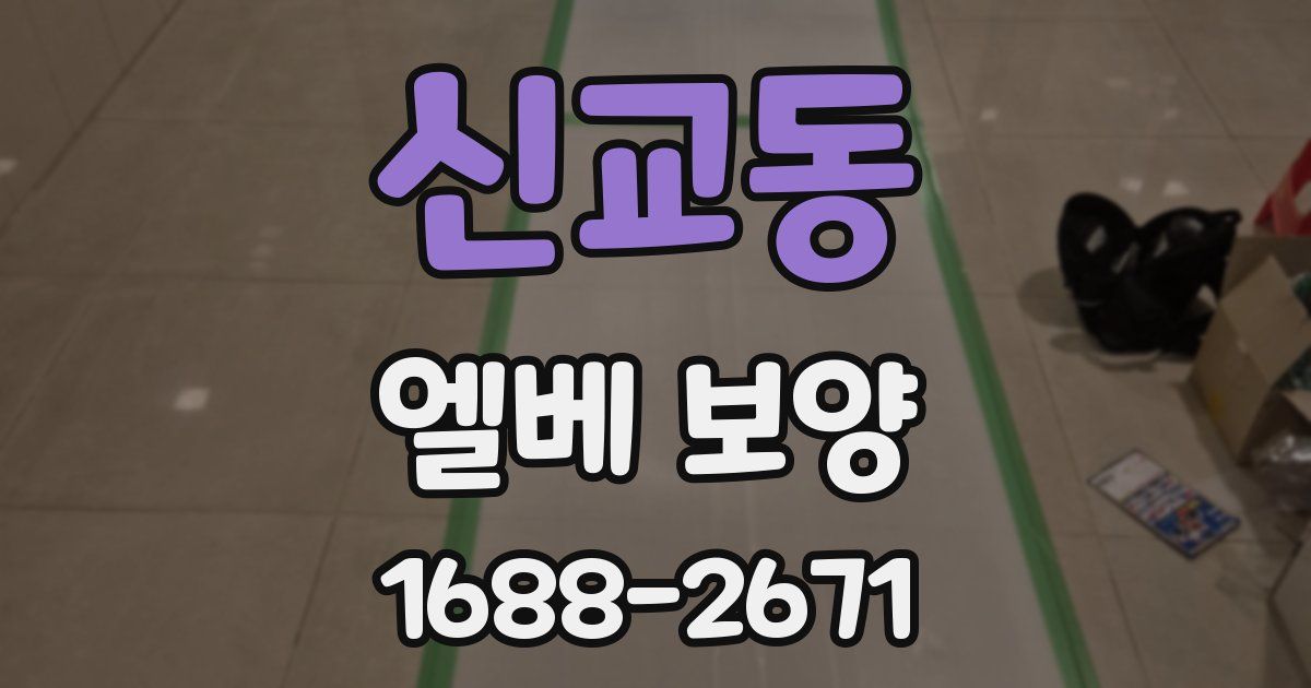 신교동 엘베 보양