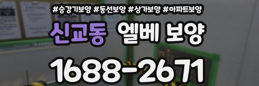 신교동 엘베 보양