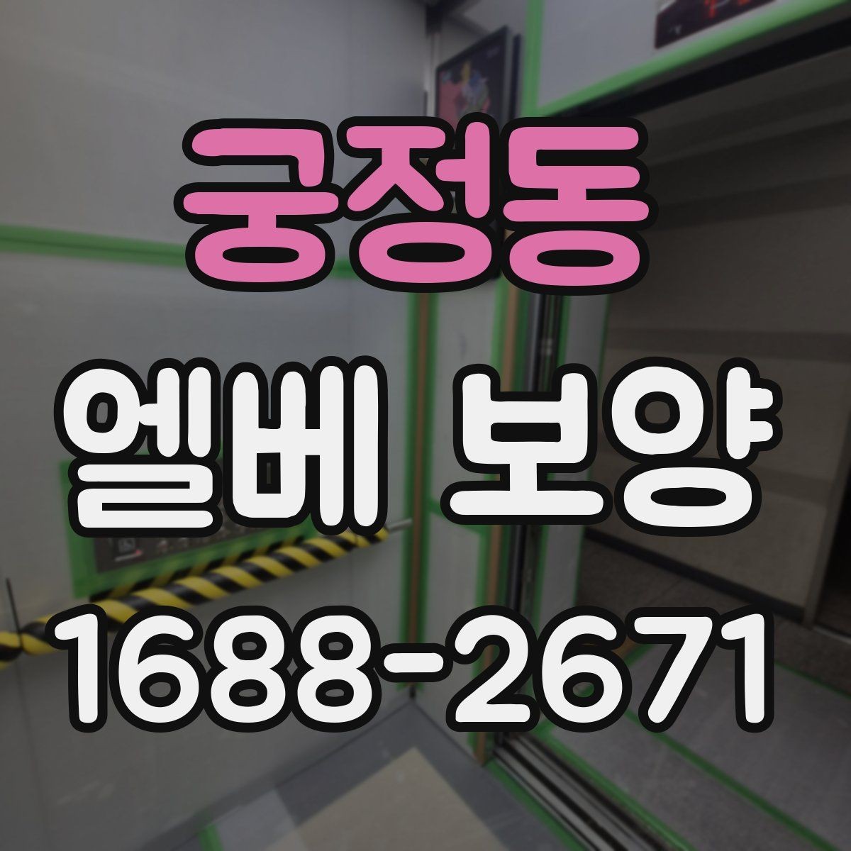궁정동 엘베 보양 보양재 종류별 쓰임과 현장 선택 기준
