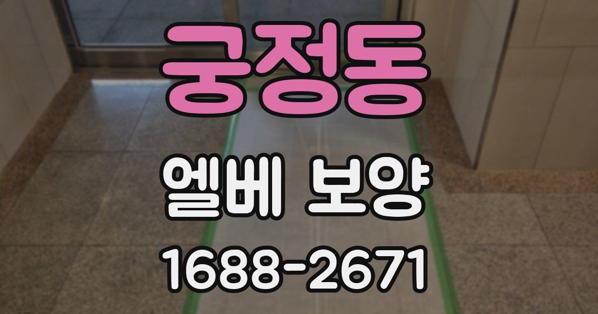 궁정동 엘베 보양