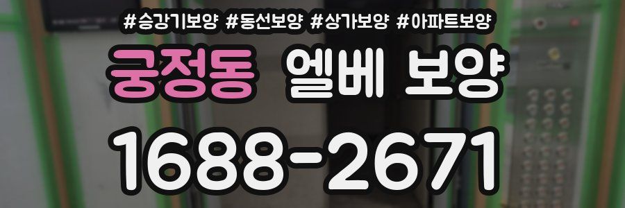 궁정동 엘베 보양
