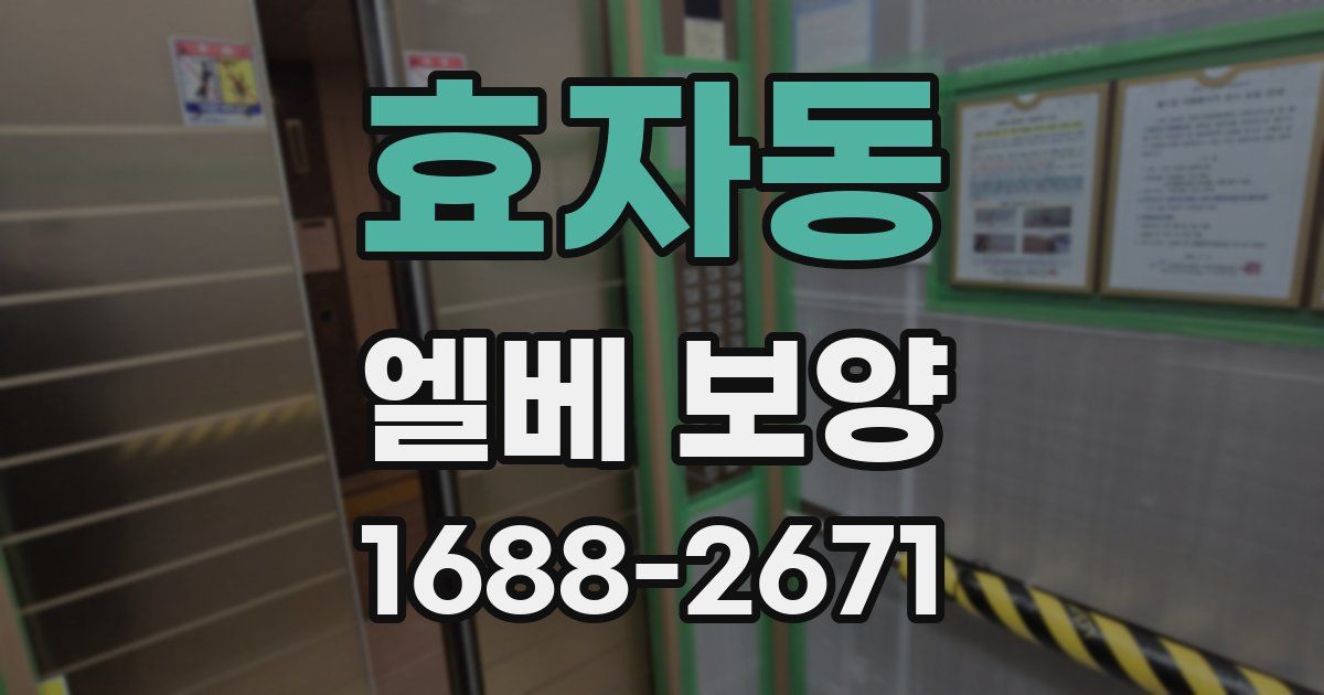 효자동 엘베 보양
