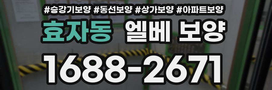 효자동 엘베 보양