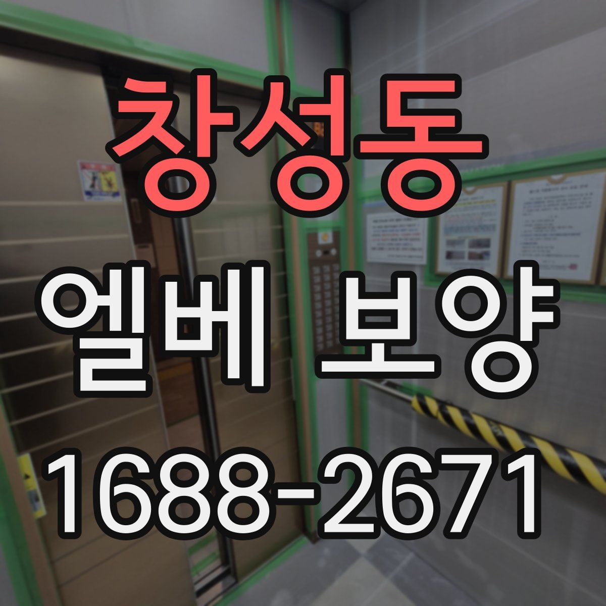 창성동 엘베 보양