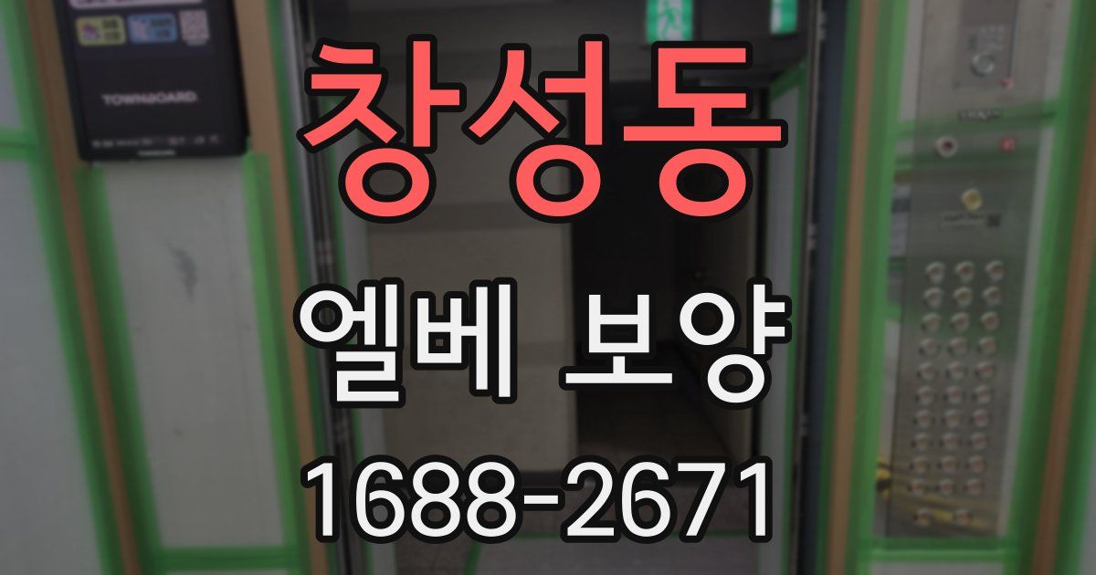창성동 엘베 보양
