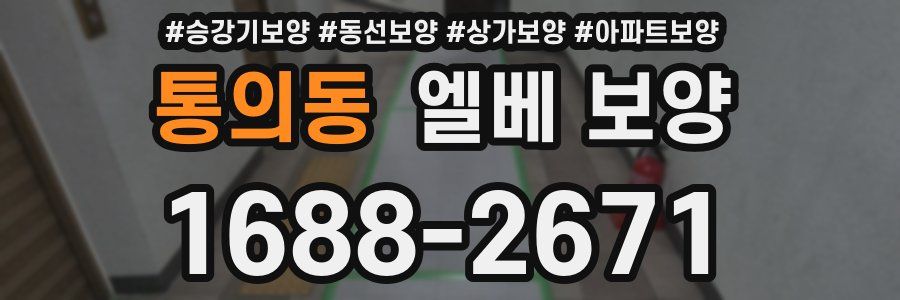 통의동 엘베 보양