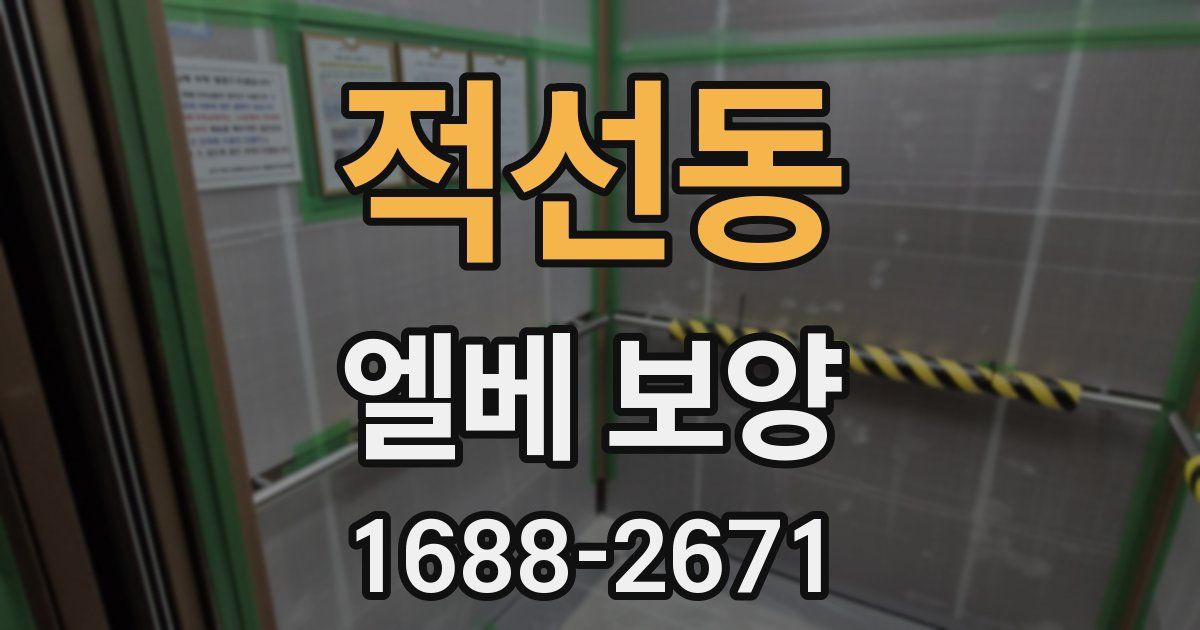 적선동 엘베 보양