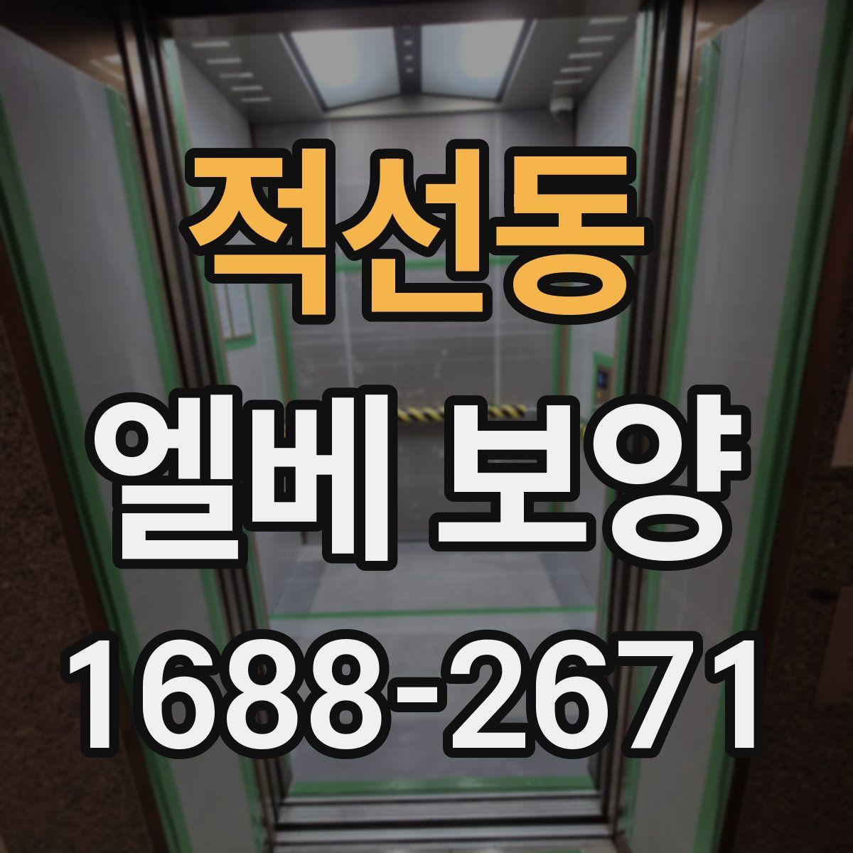 적선동 엘베 보양
