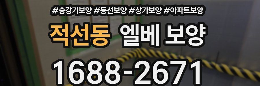 적선동 엘베 보양