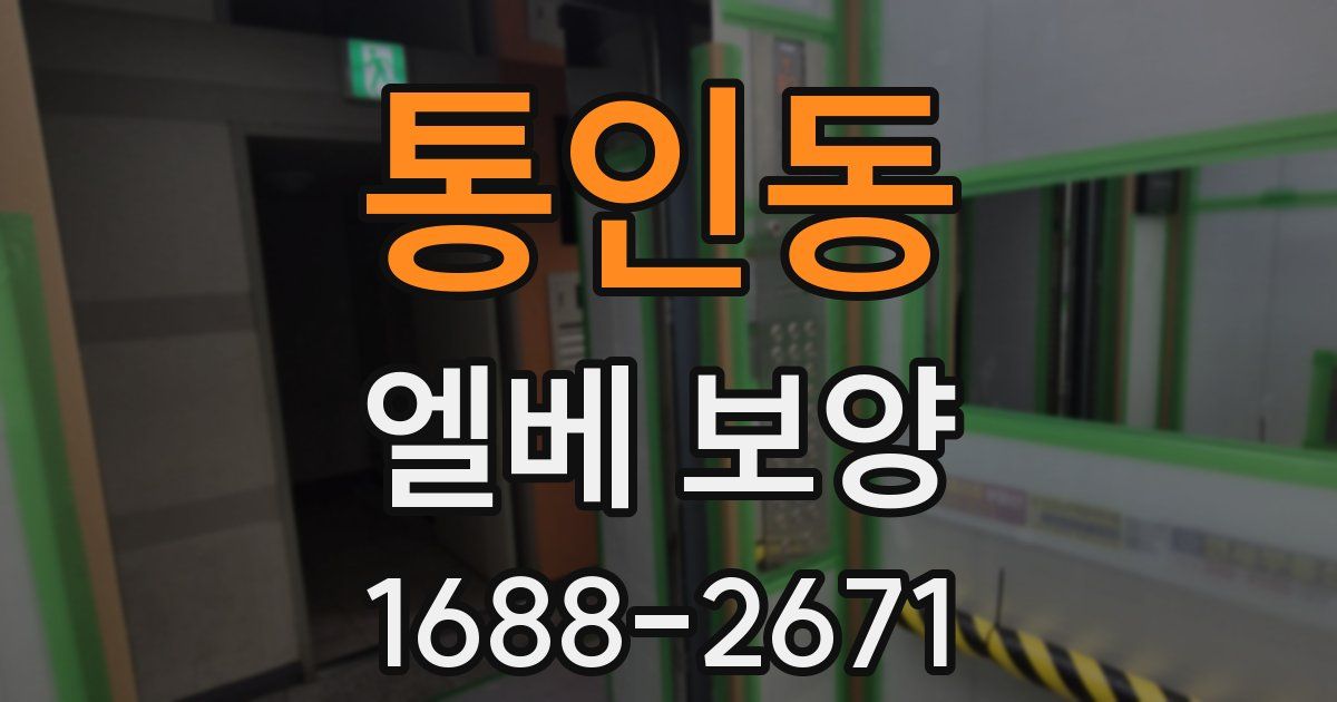 통인동 엘베 보양