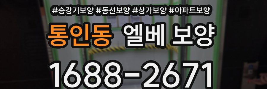 통인동 엘베 보양
