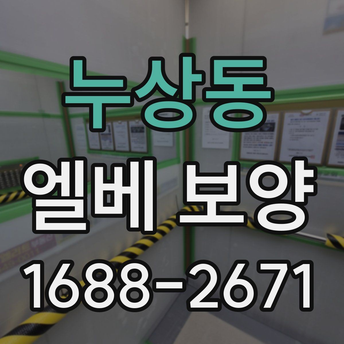 누상동 엘베 보양 사진으로 시공 상태를 설명하는 방법