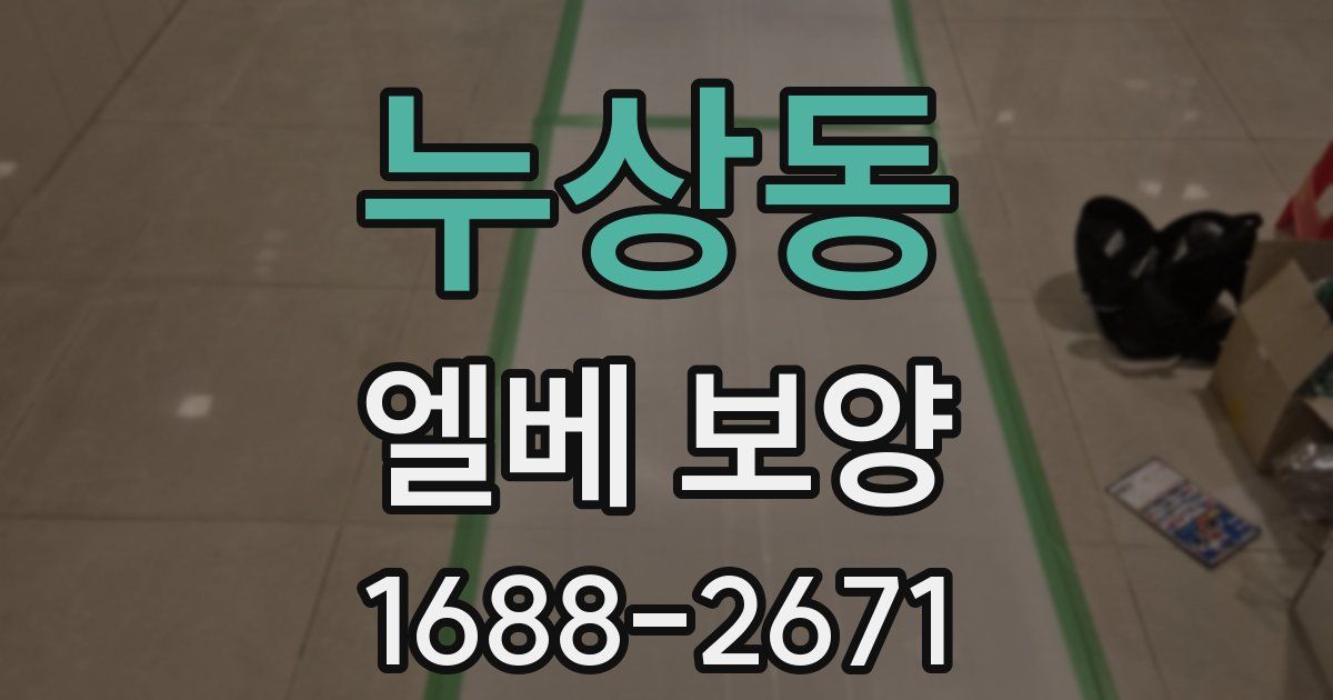 누상동 엘베 보양