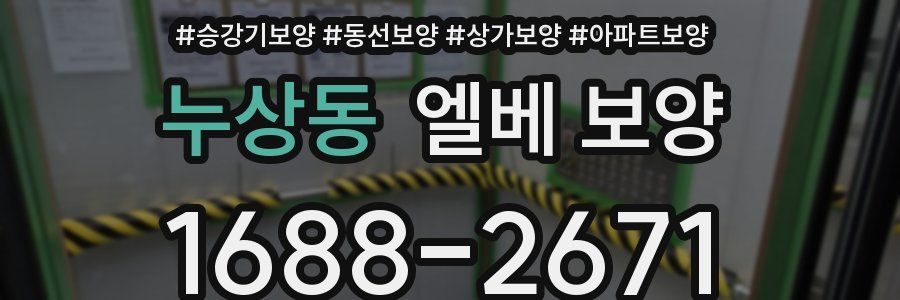 누상동 엘베 보양