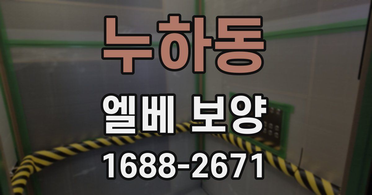 누하동 엘베 보양