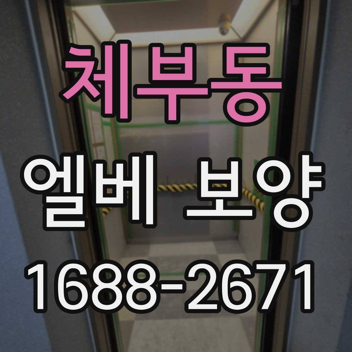 체부동 엘베 보양 기록 사진이 하자 확인에 도움이 되는 이유